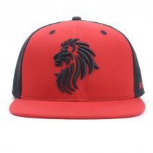 custom 3d embroidery flat brim snapback caps china factory