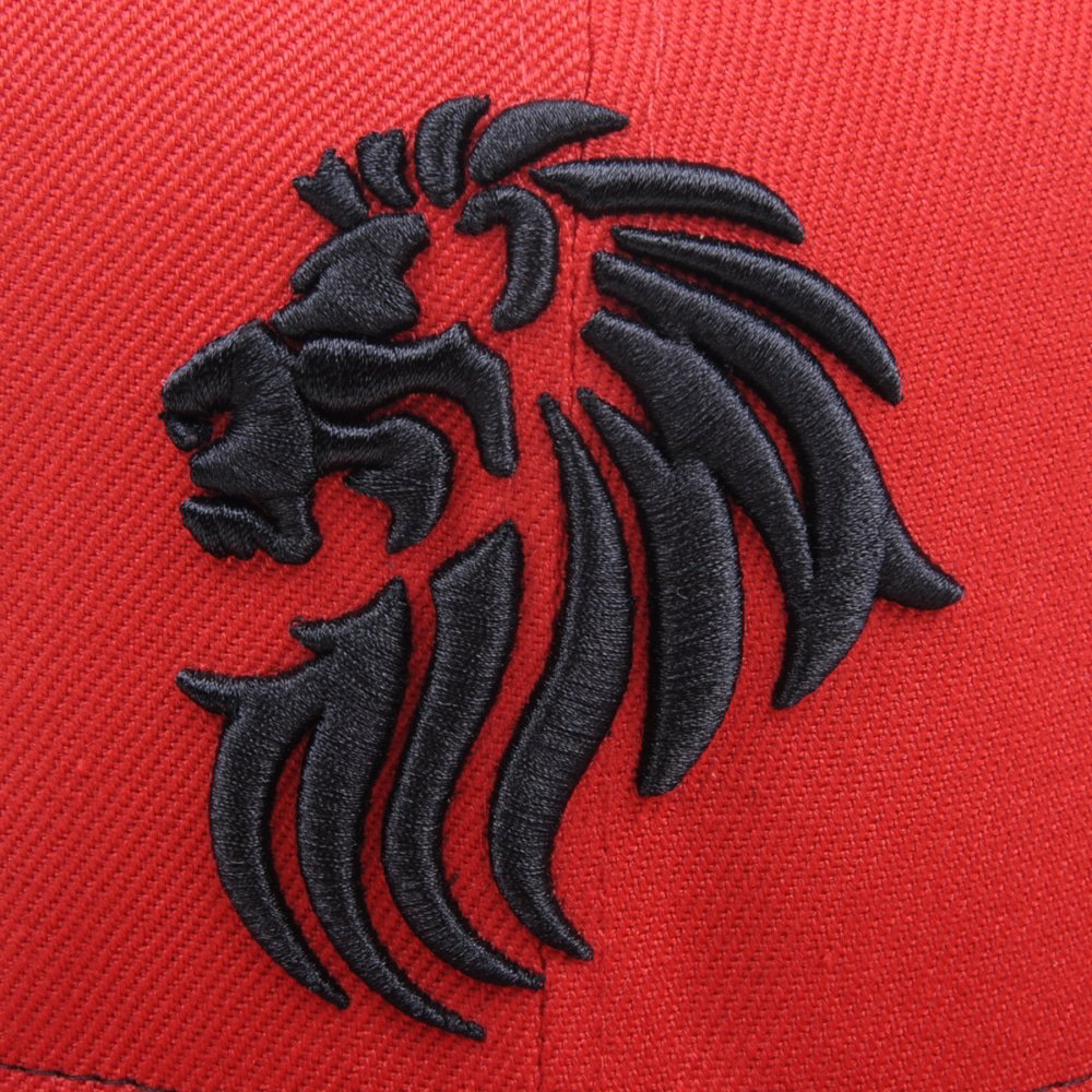 custom 3d embroidery flat brim snapback caps china factory