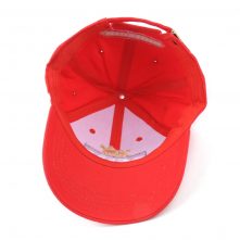 high quality embroidery sports red baseball caps
