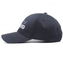 plain embroidery baseball black caps