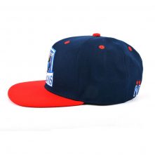 flat embroidery two color custom snapback hats