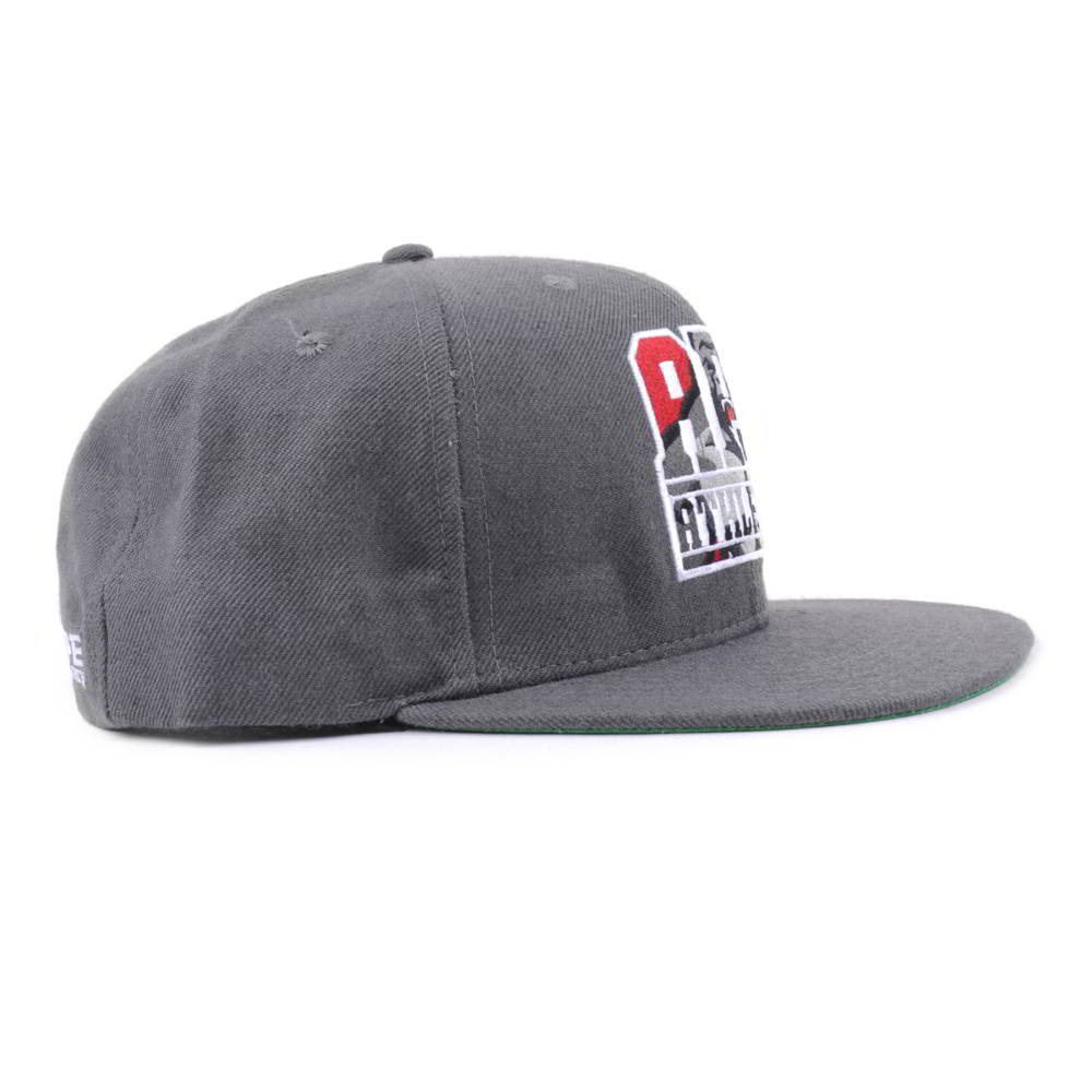 flat embroidery gray snapback caps