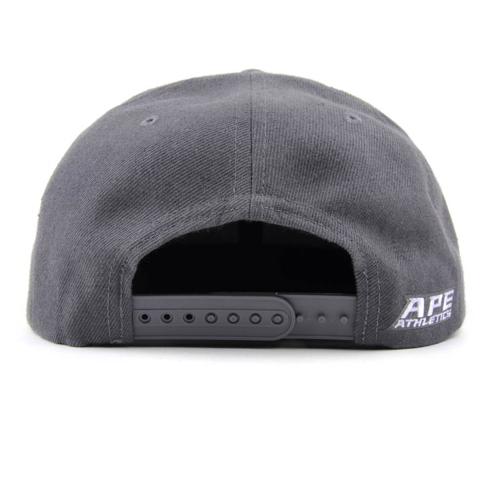 flat embroidery gray snapback caps