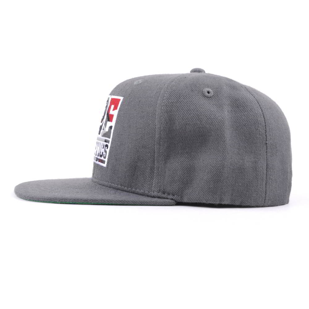 flat embroidery gray snapback caps