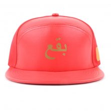 special 6 panels printing logo leather snapback hats