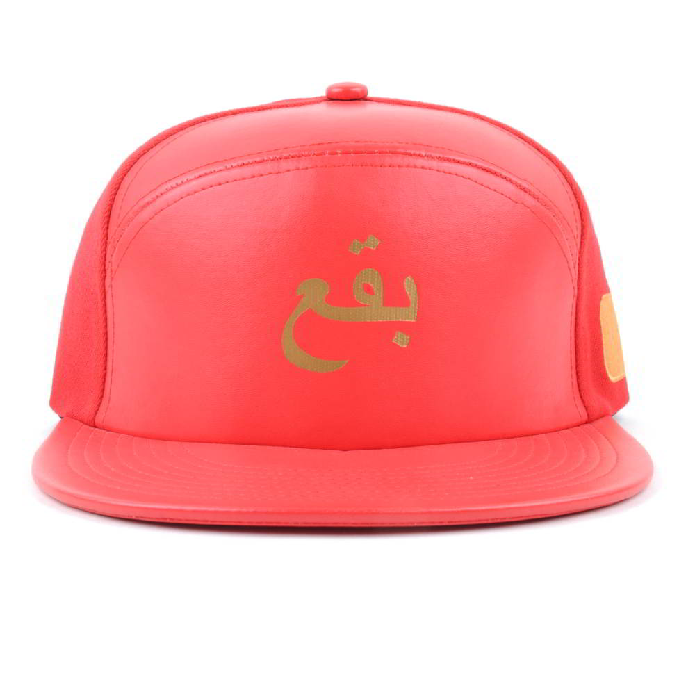 special 6 panels printing logo leather snapback hats