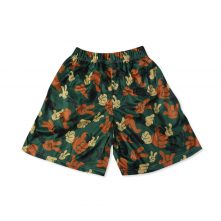 Original Men's screen printed graphics elastic waist shorts with pockets-2